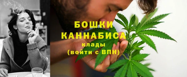 ГАЛЛЮЦИНОГЕННЫЕ ГРИБЫ Михайловка