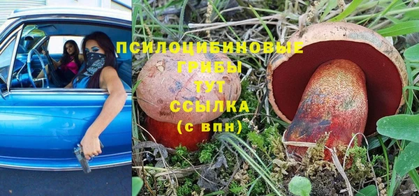 ГАЛЛЮЦИНОГЕННЫЕ ГРИБЫ Михайловка